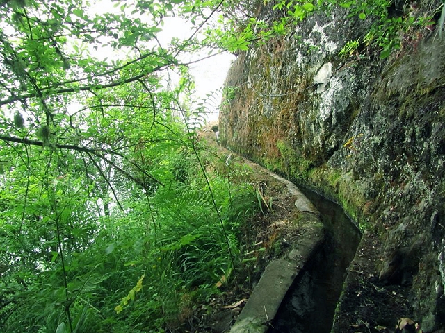 Levada da Serra — Foto 1