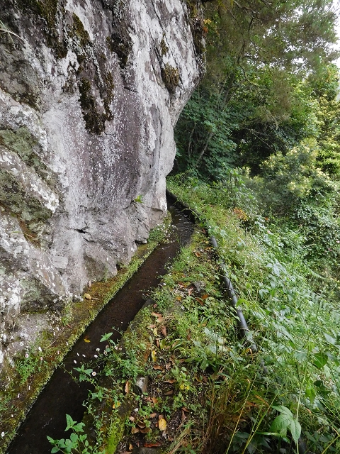 Levada da Serra — Foto 10