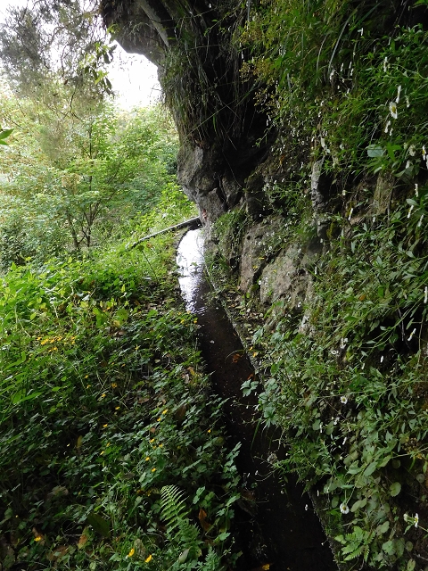 Levada da Serra — Foto 11