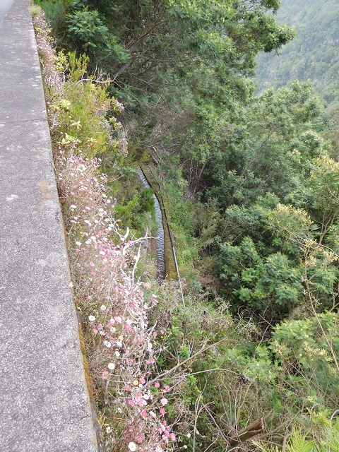 Levada da Serra — Foto 13