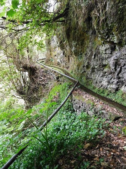 Levada da Serra — Foto 14