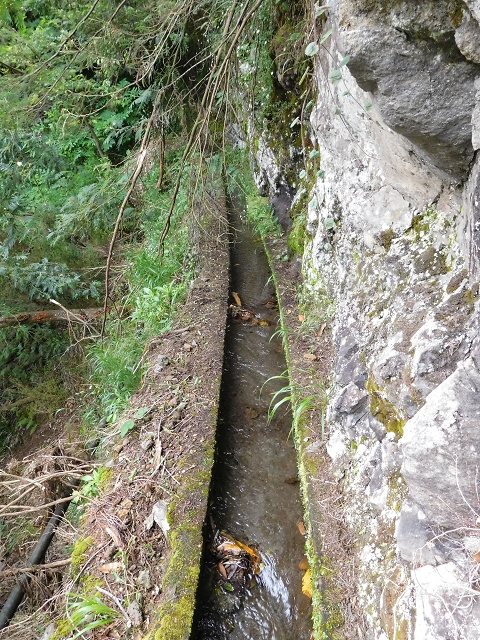 Levada da Serra — Foto 15