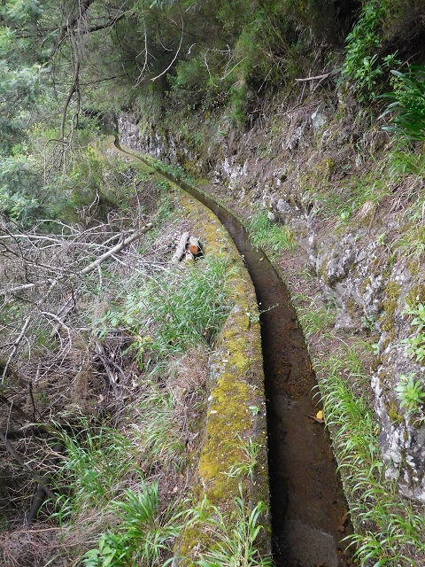 Levada da Serra — Foto 16