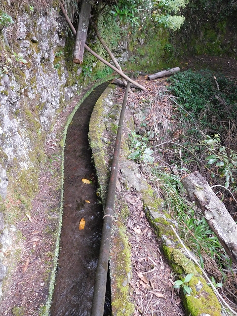 Levada da Serra — Foto 17