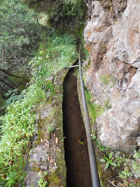 Levada da Serra — Foto 19