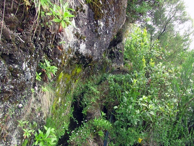 Levada da Serra — Foto 2