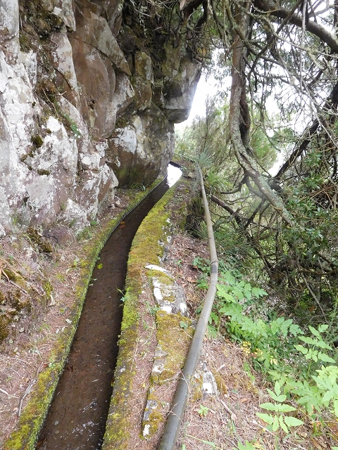 Levada da Serra — Foto 20