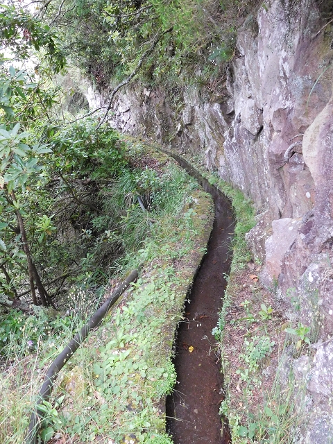 Levada da Serra — Foto 21