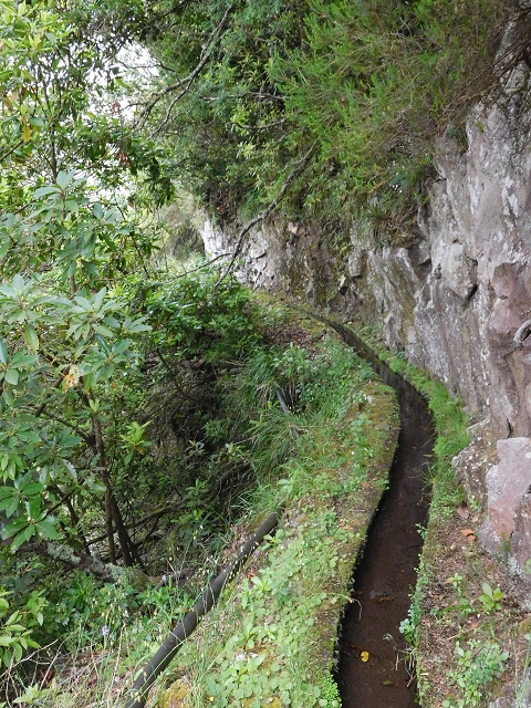 Levada da Serra — Foto 22
