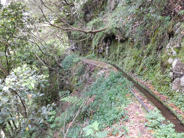 Levada da Serra — Foto 23