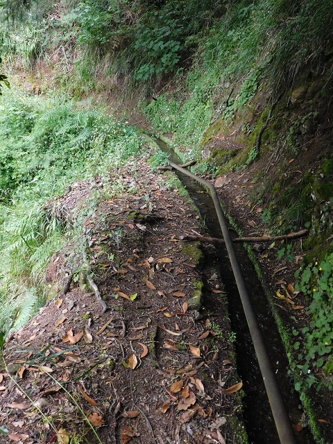 Levada da Serra — Foto 24