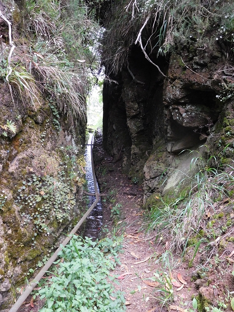 Levada da Serra — Foto 25