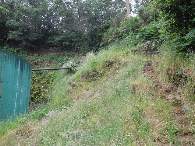 Levada da Serra — Foto 27