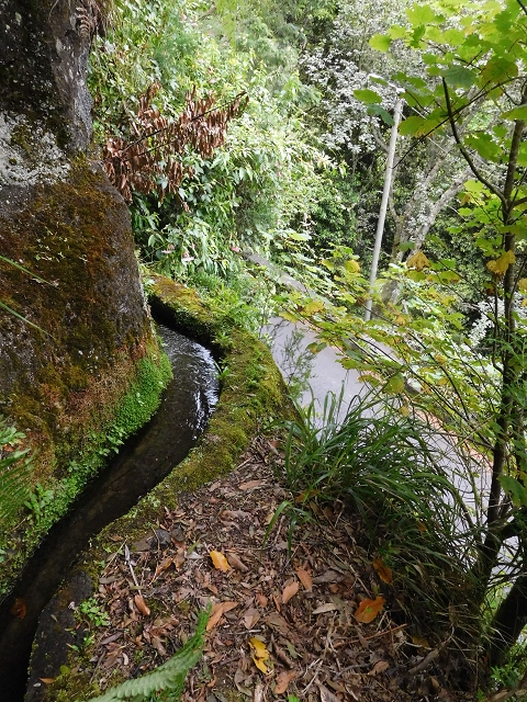Levada da Serra — Foto 3