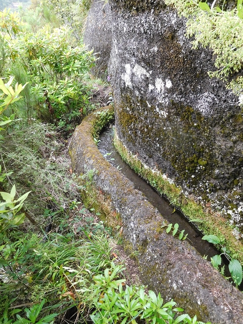 Levada da Serra — Foto 5