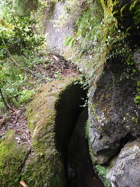 Levada da Serra — Foto 6