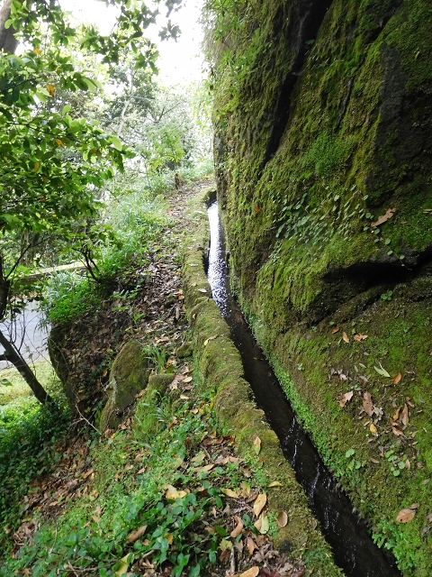 Levada da Serra — Foto 7