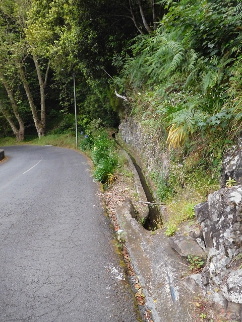 Levada da Serra — Foto 8