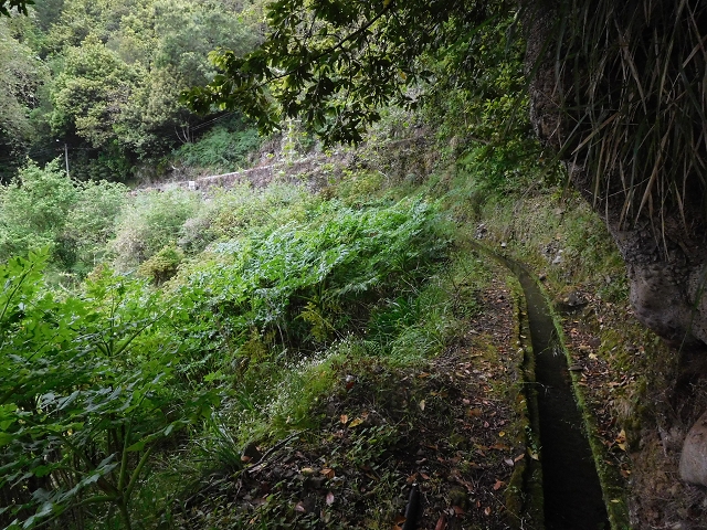 Levada da Serra — Foto 9