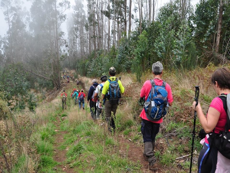 da Alegria — Lombo Galeao — photo 4