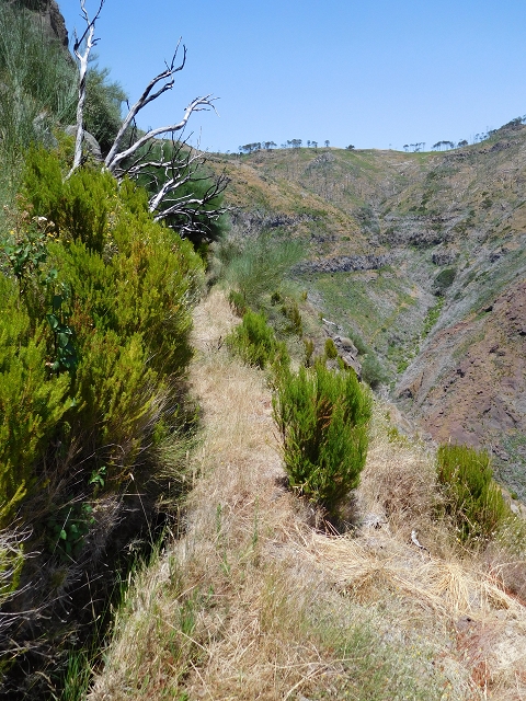 da Alegria — Levada da Serra da Alegria superior — photo 14