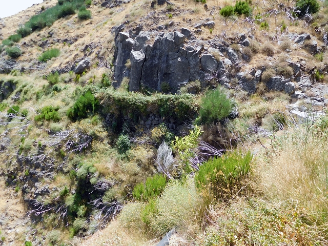 da Alegria — Levada da Serra da Alegria superior — photo 15