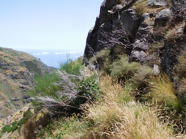 da Alegria — Levada da Serra da Alegria superior — photo 16