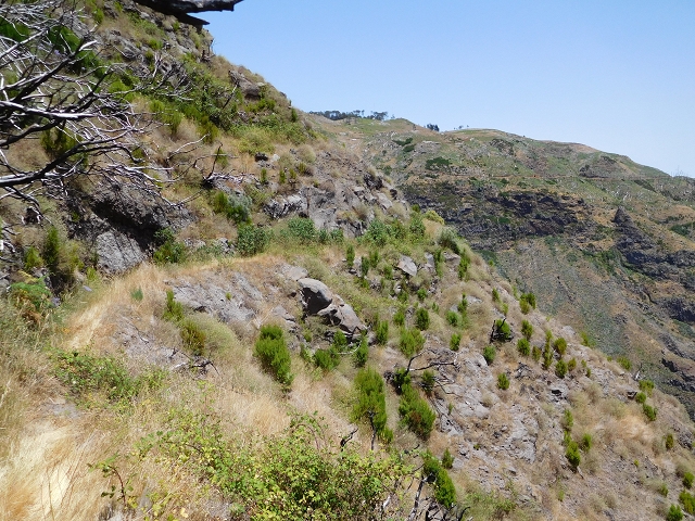 da Alegria — Levada da Serra da Alegria superior — photo 19