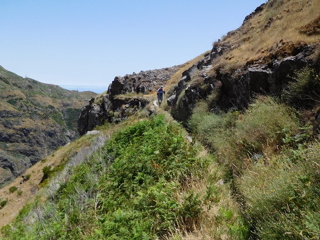 da Alegria — Levada da Serra da Alegria superior — photo 22