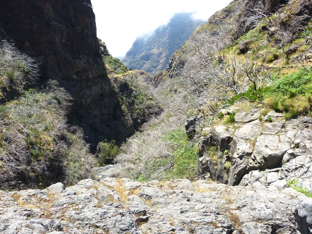 da Alegria — Levada da Serra da Alegria inferior (Levada da Fonte Vermelha) — photo 3