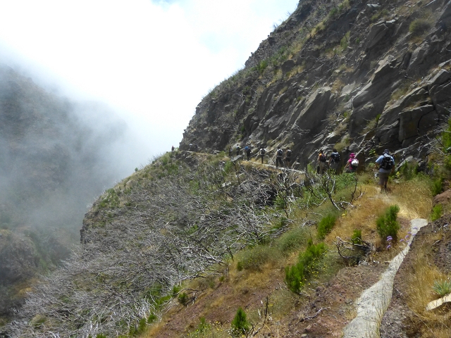 da Alegria — Levada da Serra da Alegria inferior (Levada da Fonte Vermelha) — photo 8