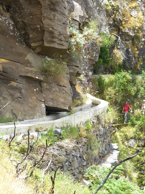 da Alegria — Levada da Serra da Alegria inferior (Levada da Fonte Vermelha) — photo 11