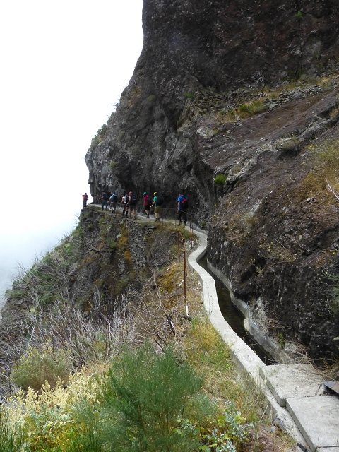 da Alegria — Levada da Serra da Alegria inferior (Levada da Fonte Vermelha) — photo 12