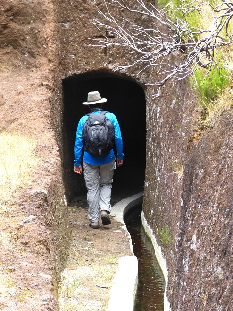 da Alegria — Levada da Serra da Alegria inferior (Levada da Fonte Vermelha) — photo 16
