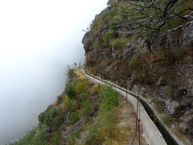da Alegria — Levada da Serra da Alegria inferior (Levada da Fonte Vermelha) — photo 23