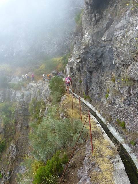 da Alegria — Levada da Serra da Alegria inferior (Levada da Fonte Vermelha) — photo 25