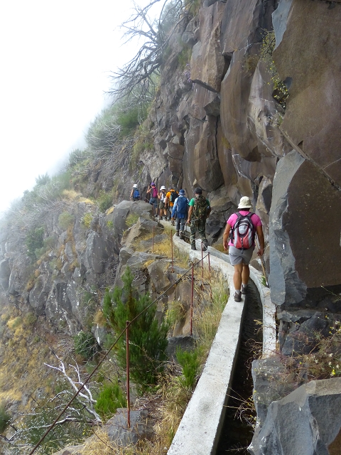 da Alegria — Levada da Serra da Alegria inferior (Levada da Fonte Vermelha) — photo 26