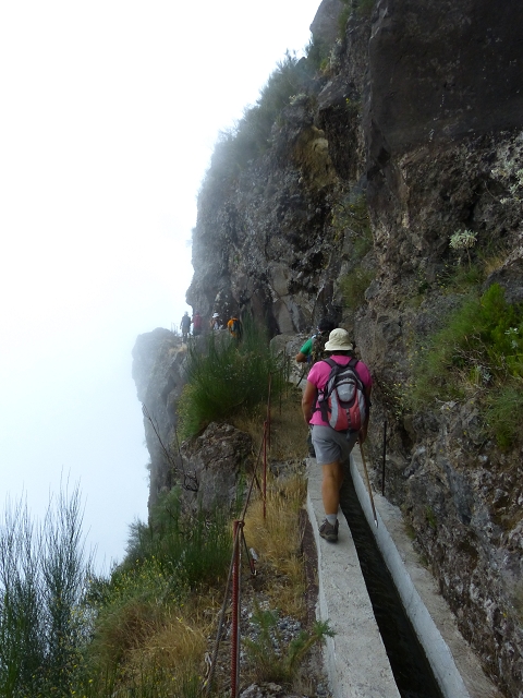 da Alegria — Levada da Serra da Alegria inferior (Levada da Fonte Vermelha) — photo 27