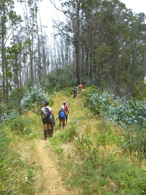 da Alegria — Lombo de Joao do Boieiro — photo 3