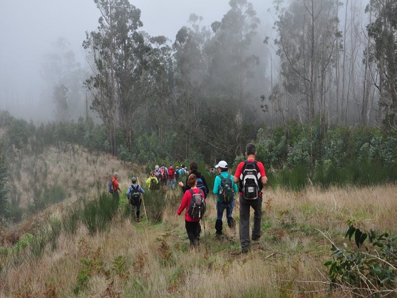 da Alegria — Lombo Galeao — photo 1