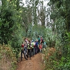 da Alegria — Lombo Galeao — photo 2