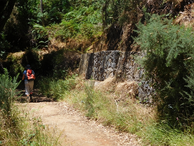 Levada da Serra do Faial von Lamaceiros/Lombo da Raiz zum Pico do Infante — Abschnitt 2 — Foto 2