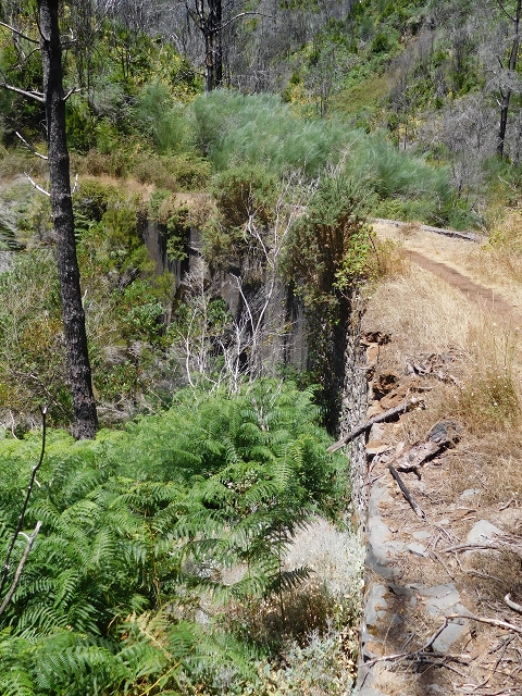 Levada da Serra do Faial von Lamaceiros/Lombo da Raiz zum Pico do Infante — Abschnitt 2 — Foto 23