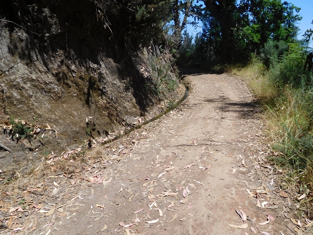 Levada da Serra do Faial von Lamaceiros/Lombo da Raiz zum Pico do Infante — Abschnitt 2 — Foto 4