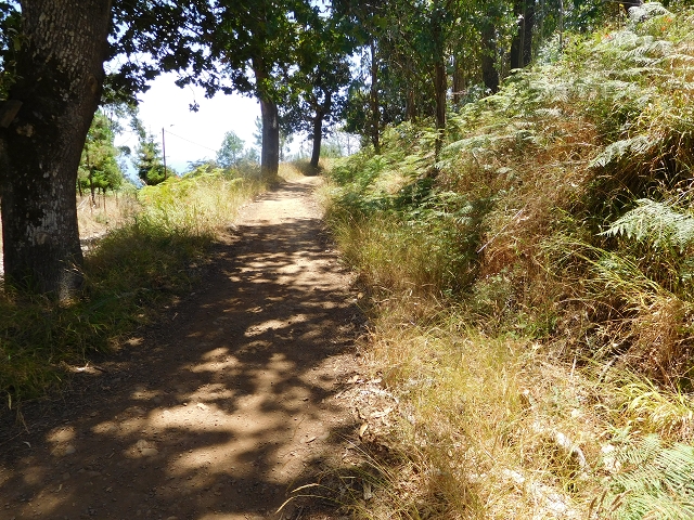 Levada da Serra do Faial von Lamaceiros/Lombo da Raiz zum Pico do Infante — Abschnitt 2 — Foto 44