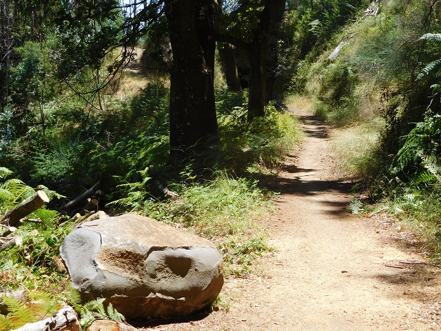 Levada da Serra do Faial von Lamaceiros/Lombo da Raiz zum Pico do Infante — Abschnitt 2 — Foto 8