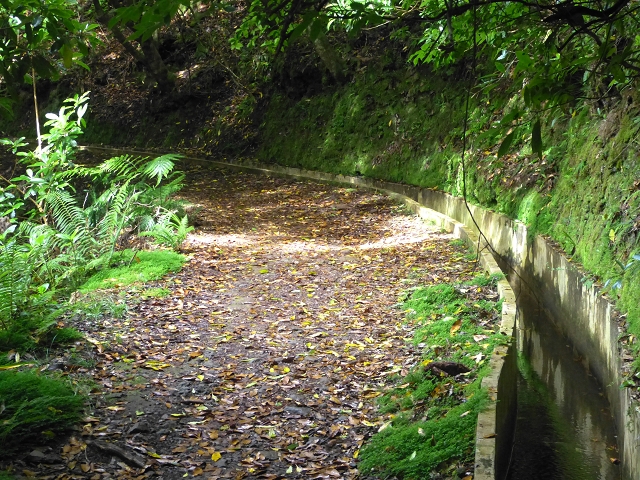 Levada da Serra do Faial von Lamaceiros/Lombo da Raiz zum Pico do Infante — Abschnitt 1 — Foto 2