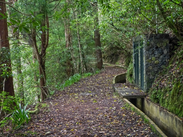 Levada da Serra do Faial von Lamaceiros/Lombo da Raiz zum Pico do Infante — Abschnitt 1 — Foto 3