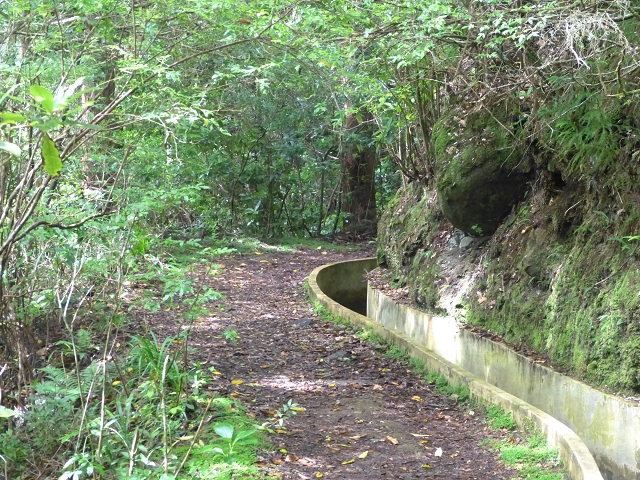 Levada da Serra do Faial von Lamaceiros/Lombo da Raiz zum Pico do Infante — Abschnitt 1 — Foto 4