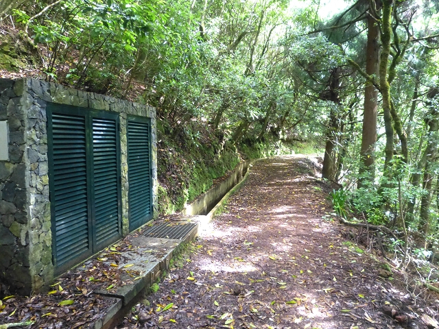 Levada da Serra do Faial von Lamaceiros/Lombo da Raiz zum Pico do Infante — Abschnitt 1 — Foto 6